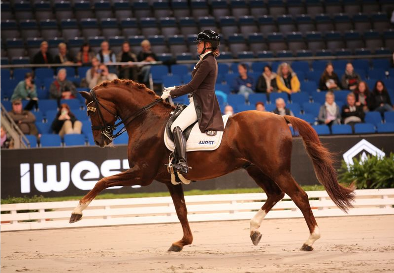 Stuttgart BWTour HansDieter Dreher siegt zum Auftakt reitturniere